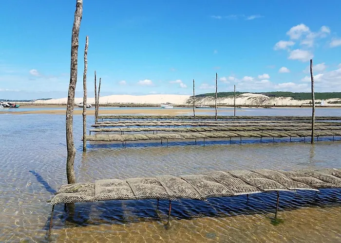Elegante Arcachonnaise Au Coeur D'arcachon - Fr-1-474-271 Villa Arcachon